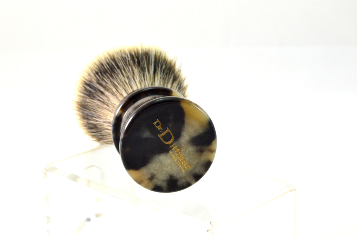 Schönheit in Horn