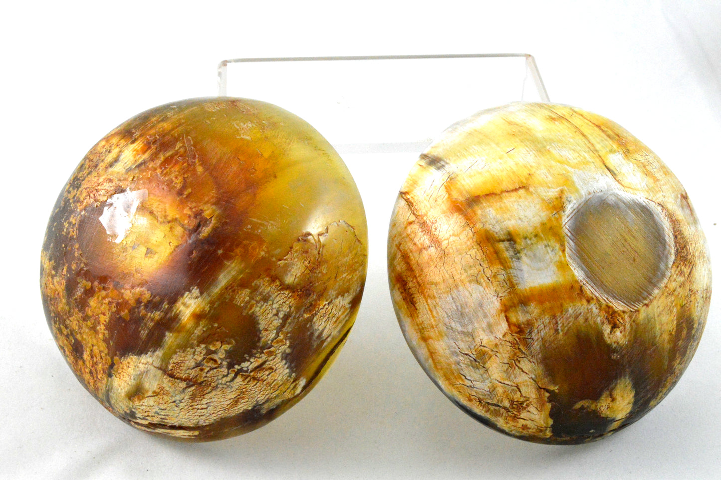 Shaving soap bowl made of natural cow horn - heavy -